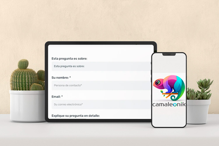 Consulta a un experto en web gratis