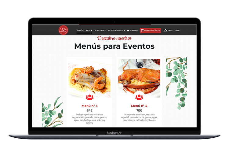 Casos de éxito webs Camaleonik
